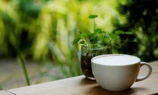 Eine Tasse Kaffee steht draussen auf einem Tisch, der von Pflanzen umgeben ist.